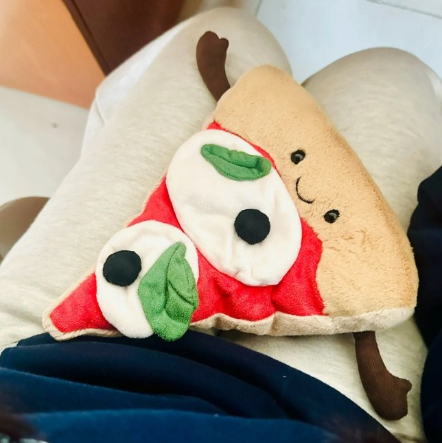 Hamburger pizza ornament gift  - Home And Textiles Today recension och pris